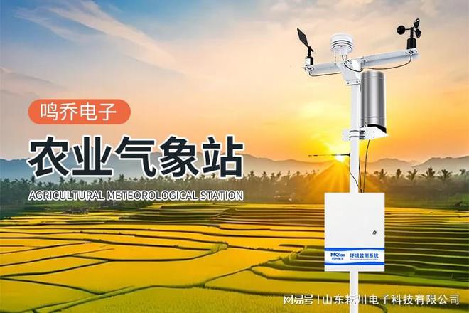 气象站：精准监测助力多领域发展CQ9电子